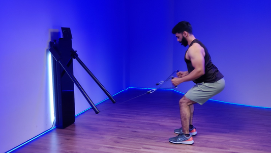 Bent Over Row (D-Handles)